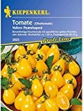 Tomaten Cherrytomaten Yellow Pearshaped birnenförmig gelb