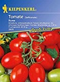 Tomaten Eiertomaten Roma Safttomate