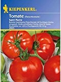 Tomaten Fleischtomate Saint Pierre