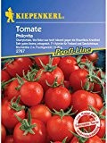 Tomaten-Gurken Set (Die Widerstandsfähigen)