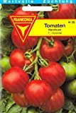 Tomaten, Harzfeuer, F1-Hybride, ca. 20 Samen