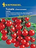 Tomaten: Lupitas F1, Lycopersicon lycopersicum - 1 Portion