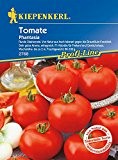 Tomaten: Phantasia F1, Lycopersicon lycopersicum - 1 Portion