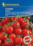 Tomaten: Philovita F1, Lycopersicon lycopersicum - 1 Portion