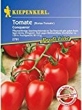 Tomaten Romatomate Conqueror resistent