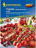 Tomaten Rosinentomate Arielle (Cherry-Tomate)