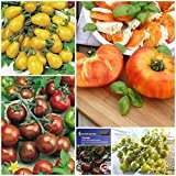 Tomaten-Saatgut-Set 'Geschmackstomate' - 5 Tomatensorten in einer Saatgut-Mischung mit Tomaten in gelb, grün, orange, schwarz, gestreift, rund und oval - ...