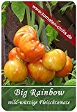 Tomaten Samen - 15 Stück - Big Rainbow - Fleischtomate