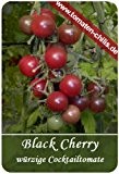Tomaten Samen - 15 Stück - Black Cherry - Cocktailtomate