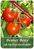 Tomaten Samen - 15 Stück - Bonner Beste - Rundtomate