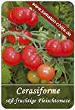 Tomaten Samen - 15 Stück - Cerasiforme - Fleischtomate