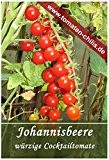 Tomaten Samen - 15 Stück - Johannisbeere Rot - Cocktailtomate