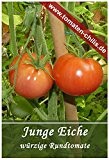 Tomaten Samen - 15 Stück - Junge Eiche - Rundtomate