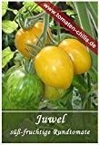 Tomaten Samen - 15 Stück - Juwel - Rundtomate