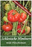 Tomaten Samen - 15 Stück - Schlesische Himbeere - Fleischtomate
