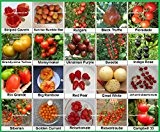 Tomaten Set 2 :: Historische alte Tomatensorten 20 Arten Samen Fleischtomate Cherrytomate Cockteiltomate Tomate Mix Paket Mischung Rarität