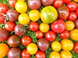 -Tomaten Sortiment 1 - 6 zuckersüße Tomatensorten im Set ***60 Samen***