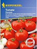 Tomaten Strauchtomate Phantasia F1 braunfäuletolerant