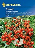 Tomaten: Tumbling Tom Red, Lycopersicon lycopersicum - 1 Portion