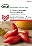 Tomatensamen - Andenhorn / Cornue des Andes von Saflax
