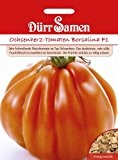 Tomatensamen - Ochsenherz-Tomaten Borsalina F1 von Dürr-Samen