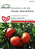 Tomatensamen - Rose de Berne von Saflax