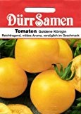 Tomatensamen - Tomate Goldene Königin von Dürr-Samen