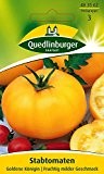 Tomatensamen - Tomate Goldene Königin von Quedlinburger Saatgut