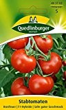 Tomatensamen - Tomate Harzfeuer F1 von Quedlinburger Saatgut