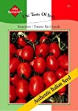 Tomatensamen - Tomate Pomodoro Rio Grande von Thompson & Morgan