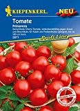 Tomatensamen - Tomate Primavera von Kiepenkerl