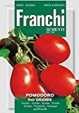 Tomatensamen - Tomate Rio Grande von Franchi Sementi