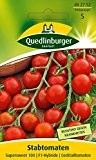 Tomatensamen - Tomate Supersweet 100 F1 von Quedlinburger Saatgut