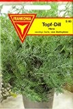 Topfdill, Hera, Anethum graveolens, ca. 50 Samen