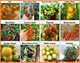 Traumgarten2014 Tomaten Set 3: Balkontomate Cherrytomate Cockteiltomate 12 Sorten je 10 Samen hohe Toleranz gegen Braunfäule Saatgut