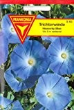 Trichterwinde, Heavenly Blue, Ipomea violacea, ca. 35 Samen