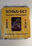 Tropica - Bonsai-Set - Japan. Schwarzkiefer mit Samen, Keramikschale, Broschüre und Gewächshaus