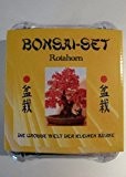 Tropica - Bonsai-Set - Rotahorn mit Samen, Keramikschale, Broschüre und Gewächshaus