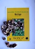 Tropica - Moringa / Wunderbaum - BIG PACK ( Moringa oleifera ) - 30 Samen