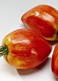 Tropica - Tomaten - Cuor di Bue / Ochsenherz (Lycopersicon esculentum) - 10 Samen - Fleischtomate