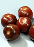 Tropica - Tomaten - Noire de Crimée (Lycopersicon esculentum) - 10 Samen - Historische Tomatensorte