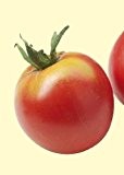 Tropica - Tomaten - Rose de Berne (Lycopersicon esculentum) - 10 Samen - Historische Tomatensorte