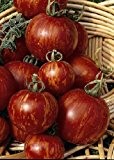 Tropica - Tomaten - Tigerella (Lycopersicon esculentum) - 10 Samen - Historische Tomatensorte