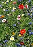 Tropica - Wildblumen - Kalifornien - Flower Power (25 Sorten) - 1000 Samen