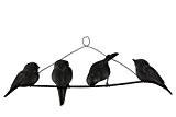 TS Wand-deko Gardendeco Happy Birds Iron, pulverbeschichtet, schwarz, 56 x 2 x 14 cm, 134421