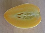Tzimbalo (Melonen-Birne) 10 Samen -Solanum caripense- ***Super-Ertrag***