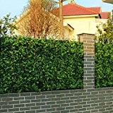 Uland 1,5 qm Buchsbaumkugeln Hecken Platten UV Grün gartenzaunmaterial Mats Dekorative Formschnitt Sichtschutz Barriere Outdoor Decor