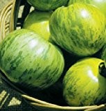 Ungarische Samen Tomate "Green Zebra" fruchtiges Aroma! Aus eigener ANBAU!