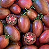Ungarische Samen Tomate "Ukrainische Purple", 10 frische Samen