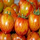Ungarische Samen Tomate "Weinberg rot" fruchtiges Aroma! eigener ANBAU!